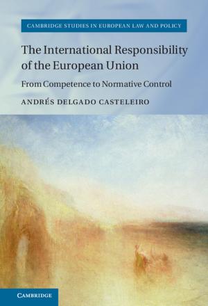 Cover of the book The International Responsibility of the European Union by Professor Bill T. Arnold, John H. Choi