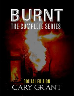 Cover of the book Burnt - The Complete Series by MORI Hiroshi