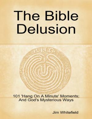 Book cover of The Bible Delusion: 101 'Hang On A Minute' Moments; And God's Mysterious Ways