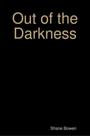 Cover of the book Out of the Darkness by Robert Stetson