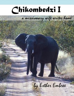 Book cover of Chikombedzi I - A Missionary Wife Writes Home