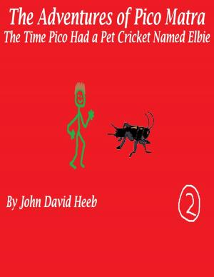 Book cover of The Adventures of Pico Matra: The Time Pico Had a Pet Cricket Named Elbie