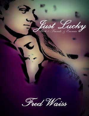 Cover of the book Just Lucky: Friends and Enemies Book 1 by Ian McKenzie