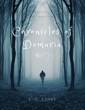 bigCover of the book Chronicles of Domaria - Book I - The Awakening by 