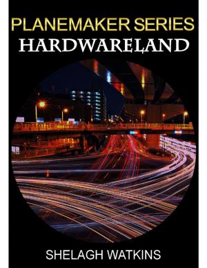 Book cover of Planemaker Series: Hardwareland