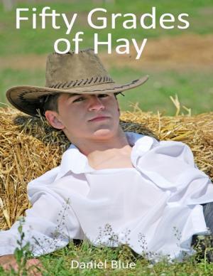 Cover of the book Fifty Grades of Hay by Elizabeth Hecht