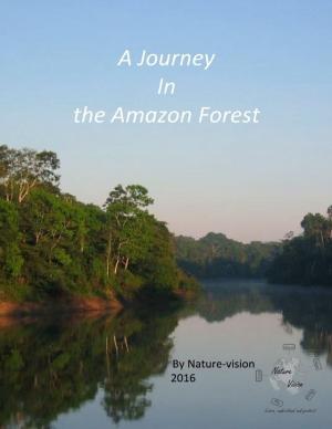 Cover of the book A Journey In the Amazon Forest by Doreen Milstead