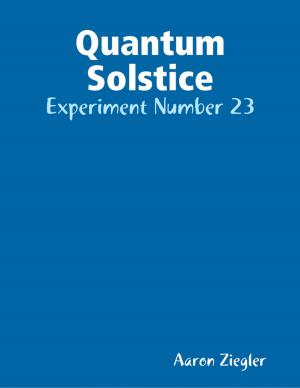 Cover of the book Quantum Solstice: Experiment Number 23 by Joe Dixon