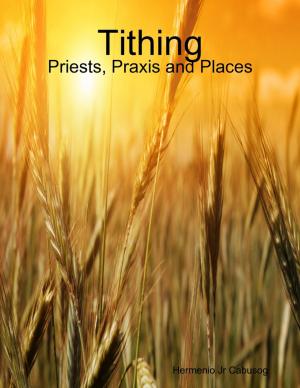 Cover of the book Tithing: Priests, Praxis and Places by G.L. Vough