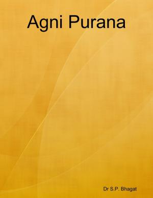 Cover of the book Agni Purana by Rebecca Suerdieck