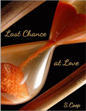 Cover of the book Last Chance At Love by Yolandie Mostert