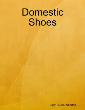 Cover of the book Domestic Shoes by Jonathan Reaper