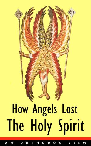 Cover of the book How Angels Lost The Holy Spirit by Douglas Lee