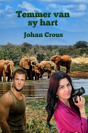 Cover of the book Temmer van sy hart by Cheryl Phipps