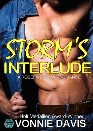 Book cover of Storm's Interlude