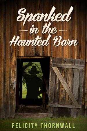 Cover of the book Spanked in the Haunted Barn by Robbie Stäadtal