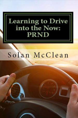Cover of the book Learning to Drive into the Now:PRND by Monika Mahr