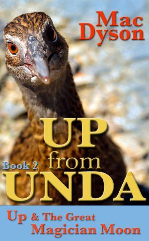 Cover of the book "Up From Unda": Up & The Great Magician Moon by Ryan Durney