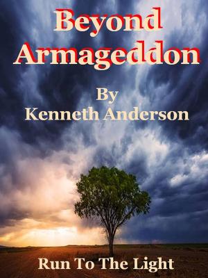 bigCover of the book Beyond Armageddon by 