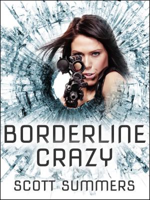 Cover of the book Borderline Crazy by Rish Outfield