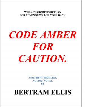 Book cover of Code Amber For caution.