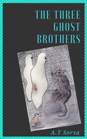 Cover of the book The Three Ghostbrothers by Stephanie Feuer