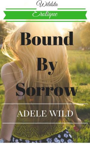 Cover of the book Bound by Sorrow by Sue Perry