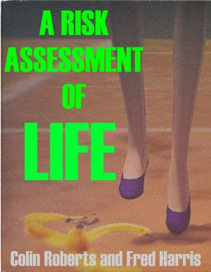 Cover of the book A Risk Assessment of Life by James Simpson