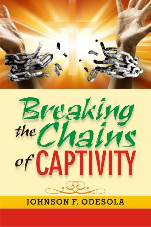 Cover of the book Breaking the Chains of Captivity by Steve Biddison
