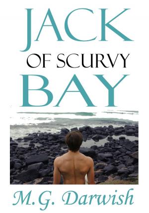 Cover of the book Jack of Scurvy Bay by Tony Vinyoh