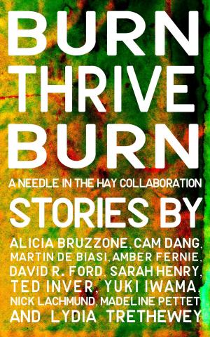 Book cover of Burn, Thrive, Burn