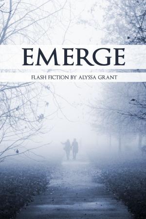 Cover of the book Emerge by Krysteen Damon