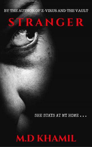 Cover of the book Stranger (Short Psychological Thriller) by B.A. Paris