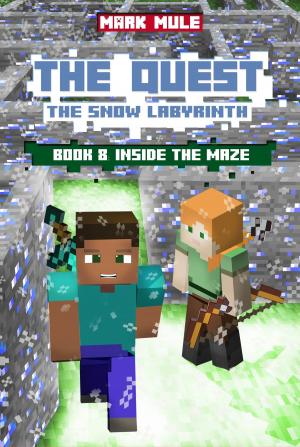 Cover of The Quest: The Snow Labyrinth, Book 8: Inside the Maze