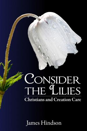 Cover of the book Consider the Lilies: Christians and Creation Care by Abinde Dare, JESUTOYINBO ROTIMI