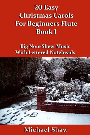 Book cover of 20 Easy Christmas Carols For Beginners Flute: Book 1