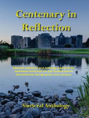 Cover of the book Centenary in Reflection by Donna Kay Cindy Kakonge