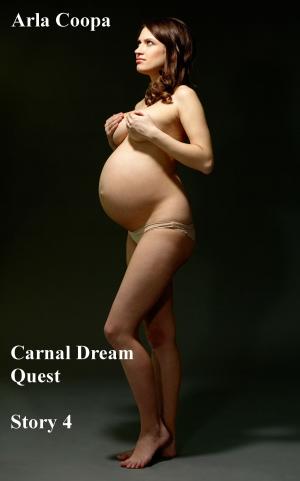 Cover of the book Carnal Dream Quest: Story 4 by M. J. Spencer