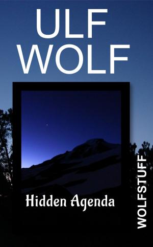 Cover of the book Hidden Agenda by Ulf Wolf