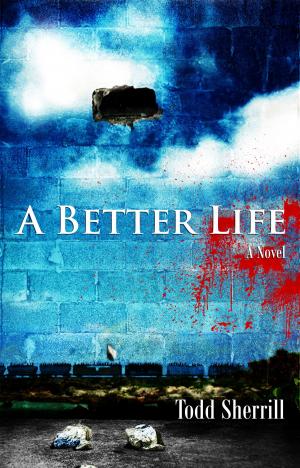 Cover of the book A Better Life by Chris Okusako