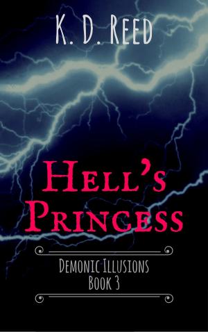 Cover of the book Hell's Princess (Demonic Illusions Book 3) by Richard F Jones