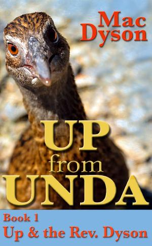Book cover of "Up From Unda": Up & The Rev. Dyson