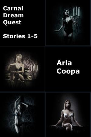 Cover of the book Carnal Dream Quest: Stories 1-5 by Anna Alexander