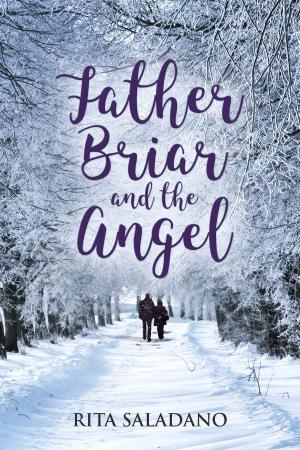 bigCover of the book Father Briar and The Angel by 