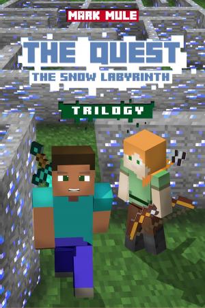 Cover of the book The Quest: The Snow Labyrinth Trilogy by Carey Corp