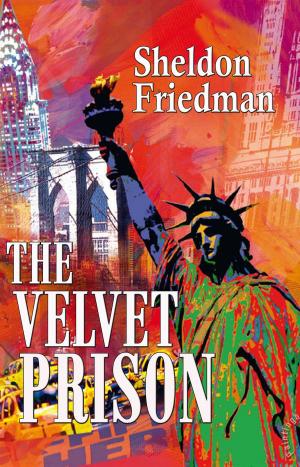 Cover of The Velvet Prison