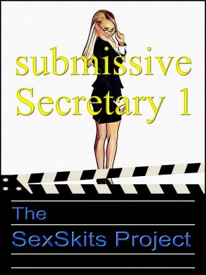 Cover of the book Submissive Secretary 1 by Max Ravenscroft