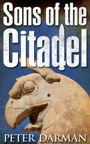bigCover of the book Sons of the Citadel by 