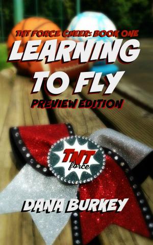 Book cover of Learning To Fly (Preview Edition)