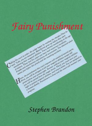 Cover of the book Fairy Punishment by Stephen Brandon